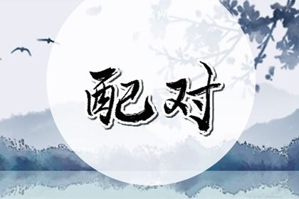 自由恋爱时代的合婚